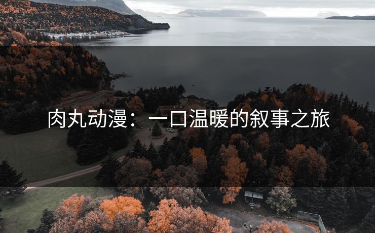 肉丸动漫：一口温暖的叙事之旅