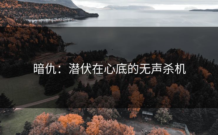 暗仇：潜伏在心底的无声杀机