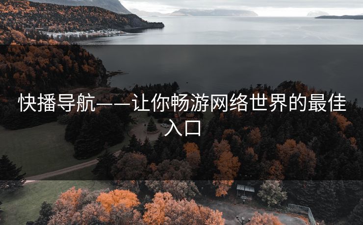 快播导航——让你畅游网络世界的最佳入口