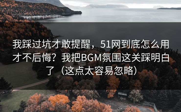 我踩过坑才敢提醒，51网到底怎么用才不后悔？我把BGM氛围这关踩明白了（这点太容易忽略）