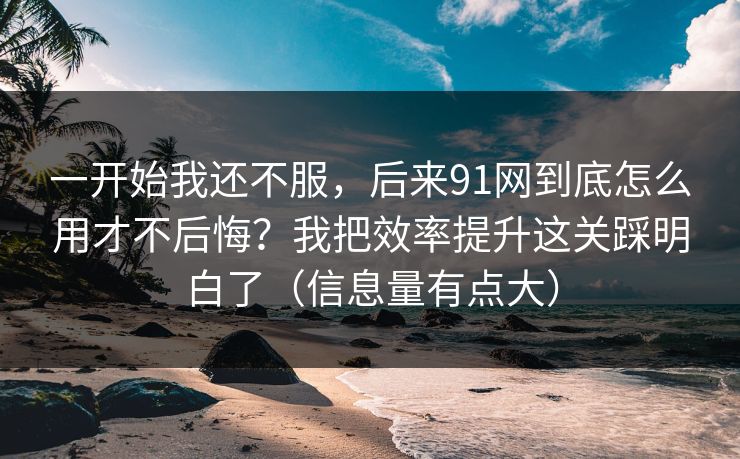 一开始我还不服,后来91网到底怎么用才不后悔?我把效率提升这关踩明白了(信息量有点大)