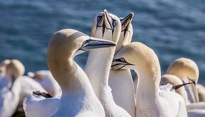 【爆料】pixiv盘点：八卦3种类型，圈内人上榜理由罕见令人无法置信