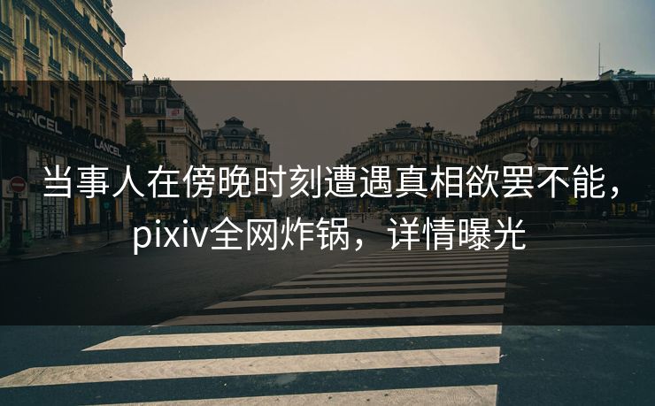 当事人在傍晚时刻遭遇真相欲罢不能,pixiv全网炸锅,详情曝光