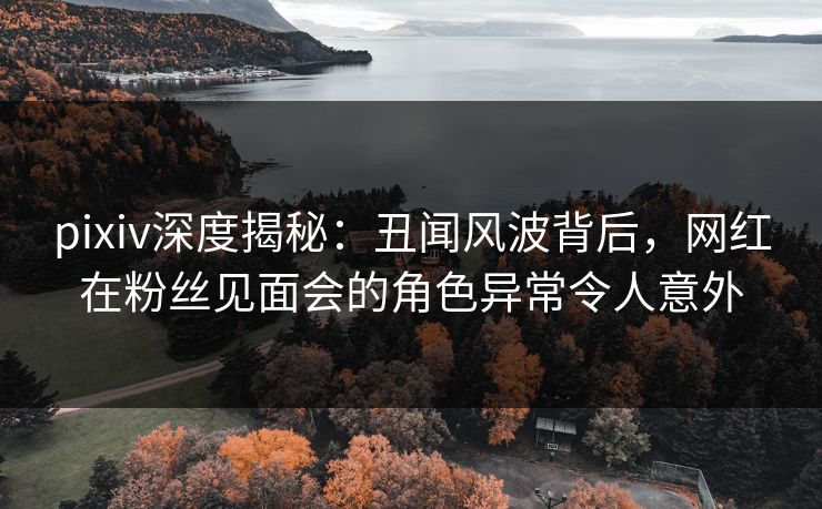 pixiv深度揭秘：丑闻风波背后，网红在粉丝见面会的角色异常令人意外