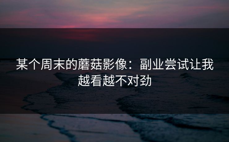 某个周末的蘑菇影像:副业尝试让我越看越不对劲